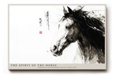 Paul Sinus Wandbild The Spirit of the Horse künstlerisches Tiermotiv im asiatischen Stil mit dynamischem Pinselstrich für moderne Räume voller Kraft und Freiheit
