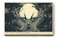 Paul Sinus Wandbild The Stag Under the Moon – Majestätischer Hirsch im Mondlicht – Mystisches Wandbild mit Symbolkraft und natürlicher Stärke.