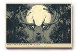 Paul Sinus Wandbild The Stag Under the Moon – Majestätischer Hirsch im Mondlicht – Mystisches Wandbild mit Symbolkraft und natürlicher Stärke.