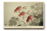 Paul Sinus Wandbild The Stream of Togetherness – Drei Fische im Fluss der Harmonie