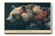 Paul Sinus Wandbild The Strength of Gentleness – majestätischer Bär mit floralen Elementen symbolisiert Harmonie zwischen Stärke und Sanftmut