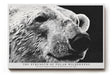 Paul Sinus Wandbild The Strength of Polar Wilderness ausdrucksstarkes Tiermotiv eines Eisbären in monochromer Darstellung