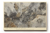 Paul Sinus Wandbild The Structure of Decay abstraktes Naturmotiv in erdigen Grau- und Beigetönen mit organischen Mustern