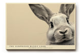 Paul Sinus Wandbild The Surprised Bunny Look Playful Expression of Nature and Joy