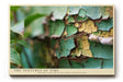 Paul Sinus Wandbild The Textures of Time – Verwitterte Schichten als Kunst der Vergänglichkeit