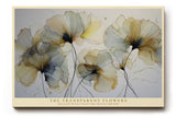 Paul Sinus Wandbild The Transparent Flowers – filigrane Blüten in zarten Farben symbolisieren Zerbrechlichkeit, Leichtigkeit und poetische Schönheit