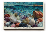 Paul Sinus Wandbild The Treasures Below the Waves Colorful Seashells Underwater Harmony
