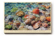 Paul Sinus Wandbild The Treasures Beneath Clear Waters – Realistisches Meeresmotiv mit Muscheln und Steinen im klaren Wasser, farbenfrohes Naturkunstwerk