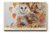 Paul Sinus Wandbild The Watcher of Autumn Leaves – Realistische Darstellung einer Eule zwischen herbstlichen Blättern, naturverbundenes Tiermotiv in warmen Farben