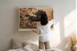Paul Sinus Wandbild The Wild Elegance Unbound Power and Grace in Motion