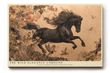 Paul Sinus Wandbild The Wild Elegance Unbound Power and Grace in Motion