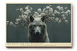 Paul Sinus Wandbild The Wolf and the Blossoms Eindrucksvolles Tierporträt eines Wolfes, umgeben von zarten Blütenzweigen – Symbol für Stärke und Sanftmut.