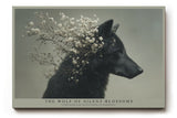 Paul Sinus Wandbild The Wolf of Silent Blossoms – Stärke und Sanftheit in perfekter Harmonie