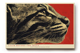 Paul Sinus Wandbild 120x80cm Tiger Portrait moderne Tier Illustration mit roten Hintergrund stilvolle Wanddekoration fuer Wohnzimmer Büro