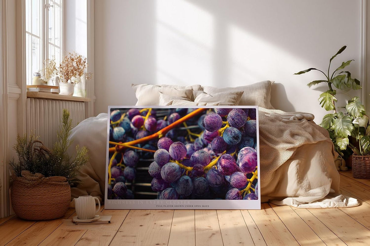 Paul Sinus Wandbild 120x80cm Trauben Makro Fotokunst modern violett blau Obst Kunstdruck grosses Kunstbild frische Wanddekoration fuer Kueche Esszimmer Wohnzimmer