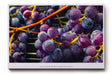 Paul Sinus Wandbild 120x80cm Trauben Makro Fotokunst modern violett blau Obst Kunstdruck grosses Kunstbild frische Wanddekoration fuer Kueche Esszimmer Wohnzimmer