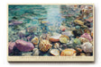 Paul Sinus Wandbild Treasures Beneath the Clear Waves Sunlit Beauty of the Ocean