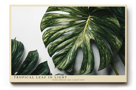 Paul Sinus Wandbild 120x80cm Tropical Leaf in Light tropisches Monstera Blatt botanische Natur Fotokunst modernes Pflanzen Poster für Wohnzimmer Büro