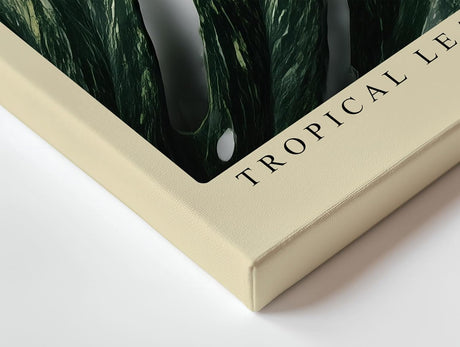 Paul Sinus Wandbild 120x80cm Tropical Leaf in Light tropisches Monstera Blatt botanische Natur Fotokunst modernes Pflanzen Poster für Wohnzimmer Büro