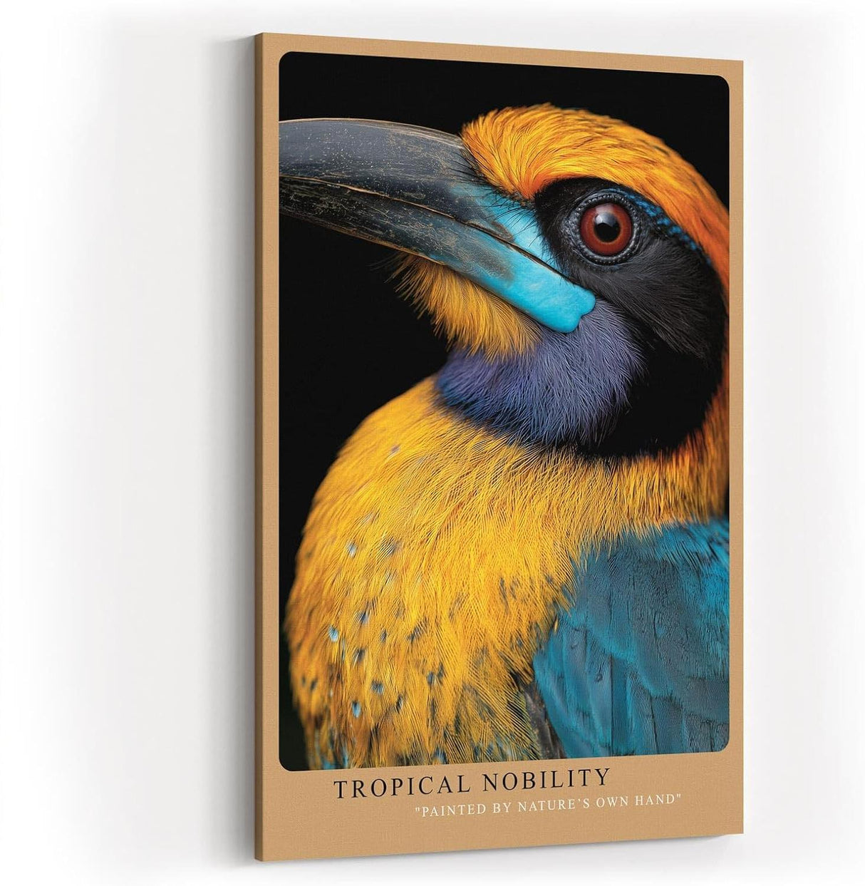 Paul Sinus Wandbild in 40x60cm Tropical Nobility – farbintensives Porträt eines exotischen Vogels für ausdrucksstarke Raumgestaltung