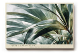 Paul Sinus Wandbild 120x80cm tropische Blaetter botanische Fotokunst gruen natur modern ruhige Pflanzen Wanddekoration fuer Wohnzimmer Büro Spa Bereich