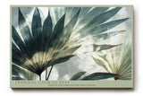 Paul Sinus Wandbild 120x80cm tropische Blaetter modern gruen beige botanische Kunst Kunstdruck grosses Wandbild 120x80cm ruhige Natur Wanddekoration fuer Wohnzimmer Büro