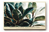 Paul Sinus Wandbild 120x80cm Tropische Blaetter moderne botanische Kunst Wanddekoration grüne Pflanzen Naturmotiv Wohnzimmer Schlafzimmer