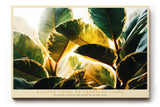 Paul Sinus Wandbild 120x80cm Tropische Blaetter Sonnenlicht botanische Kunst Wanddekoration grüne Pflanzen Naturmotiv Wohnzimmer Schlafzimmer
