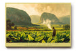 Paul Sinus Wandbild 120x80cm Tropische Landschaft mit Tabakfeld und Bergen Atmosphaerische Naturkunst in Gruen und Goldtoenen