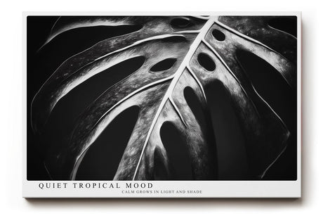 Paul Sinus Wandbild 120x80cm tropisches Blatt Monstera schwarz weiss minimalistische Natur Fotokunst moderner Kunstdruck elegante