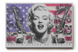 Paul Sinus Wandbild United States of America Iconic Power and Rebellion