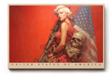 Paul Sinus Wandbild United States of America – provokantes Popart-Motiv mit Frau, Gewehr und Flagge als Symbol für Stärke und Ambivalenz