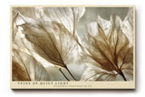 Paul Sinus Wandbild 120x80cm Veins of Quiet Light transparente Blätter Makro Natur Fotokunst in warmen Naturtönen Poster für Wohnzimmer Schlafzimmer