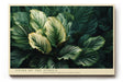 Paul Sinus Wandbild 120x80cm Veins of the Jungle tropische Blätter Makro Natur Fotokunst grüne Pflanzen Poster für Wohnzimmer Schlafzimmer Büro