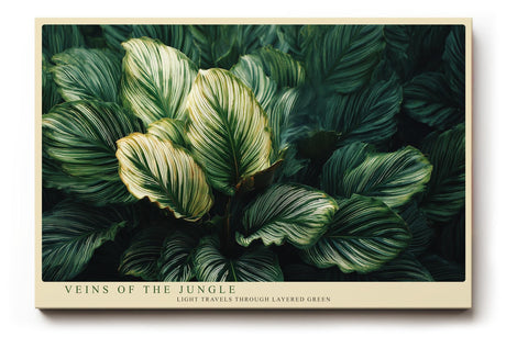 Paul Sinus Wandbild 120x80cm Veins of the Jungle tropische Blätter Makro Natur Fotokunst grüne Pflanzen Poster für Wohnzimmer Schlafzimmer Büro