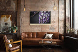 Paul Sinus Wandbild 120x80cm violette Glyzinien Bluetenhaenge florale Naturfotografie elegante Blumen Wanddekoration fuer Wohnzimmer Büro