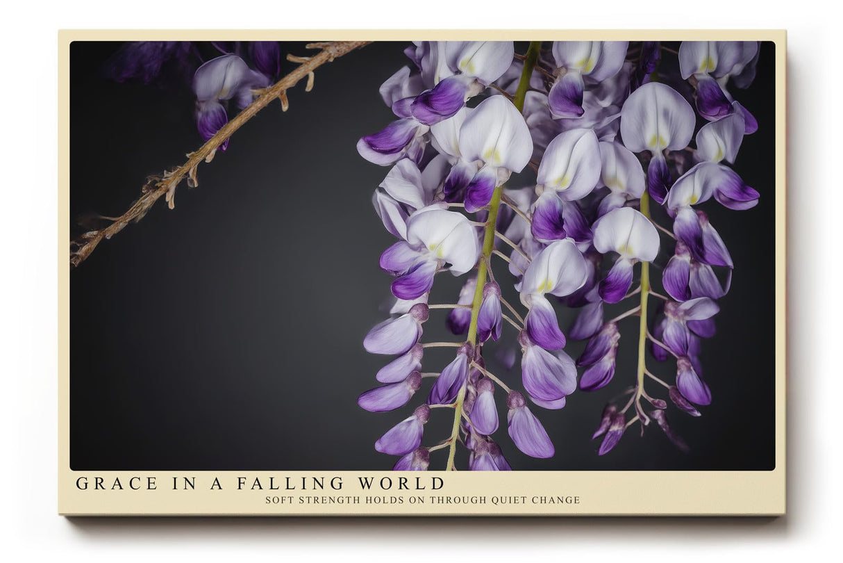 Paul Sinus Wandbild 120x80cm violette Glyzinien Bluetenhaenge florale Naturfotografie elegante Blumen Wanddekoration fuer Wohnzimmer Büro