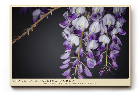 Paul Sinus Wandbild 120x80cm violette Glyzinien Bluetenhaenge florale Naturfotografie elegante Blumen Wanddekoration fuer Wohnzimmer Büro