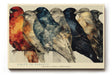 Paul Sinus Wandbild 120x80cm Voegel Reihe modern bunt Tierkunst Illustration Kunstdruck grosses Kunstbild stilvolle Wanddekoration fuer Wohnzimmer Büro Flur