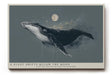 Paul Sinus Wandbild 120x80cm Wal unter dem Mond moderne maritime Illustration mit kosmischer Stimmung