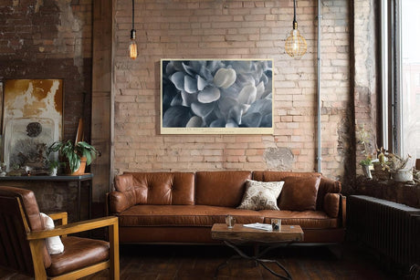 Paul Sinus Wandbild 120x80cm weiche Blumen Nahaufnahme graue Blueten moderne florale Kunst elegante Wanddekoration fuer Wohnzimmer Büro