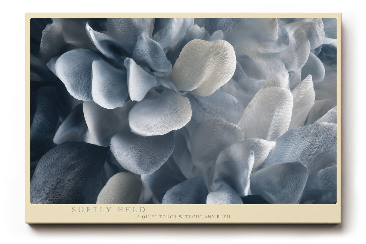 Paul Sinus Wandbild 120x80cm weiche Blumen Nahaufnahme graue Blueten moderne florale Kunst elegante Wanddekoration fuer Wohnzimmer Büro