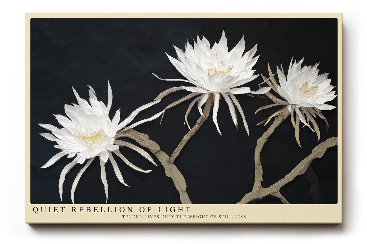 Paul Sinus Wandbild 120x80cm weisse Blueten auf dunklem Hintergrund elegante Blumenfotografie moderne florale Wanddekoration fuer Wohnzimmer Büro