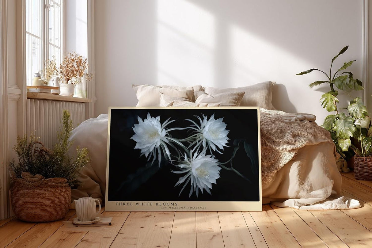 Paul Sinus Wandbild 120x80cm weisse Blueten botanische Kunst auf dunklem Hintergrund elegante Naturfotografie Kunstdruck stilvolle Wanddekoration fuer Wohnzimmer Schlafzimmer