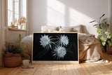 Paul Sinus Wandbild 120x80cm weisse Blueten botanische Kunst auf dunklem Hintergrund elegante Naturfotografie Kunstdruck stilvolle Wanddekoration fuer Wohnzimmer Schlafzimmer