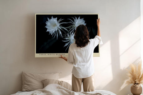 Paul Sinus Wandbild 120x80cm weisse Blueten botanische Kunst auf dunklem Hintergrund elegante Naturfotografie Kunstdruck stilvolle Wanddekoration fuer Wohnzimmer Schlafzimmer