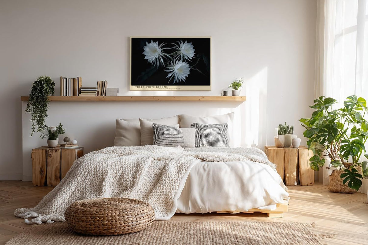 Paul Sinus Wandbild 120x80cm weisse Blueten botanische Kunst auf dunklem Hintergrund elegante Naturfotografie Kunstdruck stilvolle Wanddekoration fuer Wohnzimmer Schlafzimmer