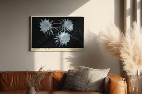Paul Sinus Wandbild 120x80cm weisse Blueten botanische Kunst auf dunklem Hintergrund elegante Naturfotografie Kunstdruck stilvolle Wanddekoration fuer Wohnzimmer Schlafzimmer