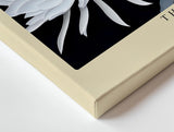 Paul Sinus Wandbild 120x80cm weisse Blumen auf dunklem Hintergrund elegante botanische Kunst moderne Naturfotografie Kunstdruck stilvolle Wanddekoration fuer Wohnzimmer Schlafzimmer Flur