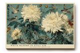 Paul Sinus Wandbild 120x80cm Weiße Chrysanthemen mit Vögeln Klassische Natur Kunst in Blau Grün und Creme für Wohnzimmer Schlafzimmer Büro